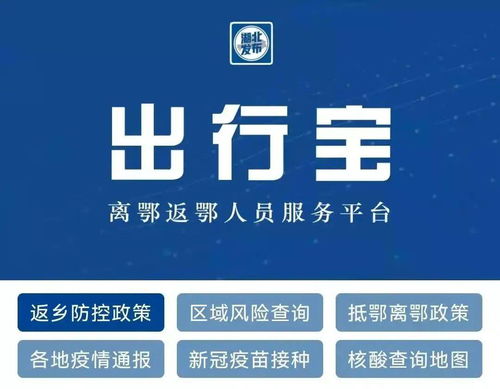 孝感人春節(jié)返鄉(xiāng)政策一鍵查 服務(wù)器租賃如何保障查詢穩(wěn)定性與高效體驗